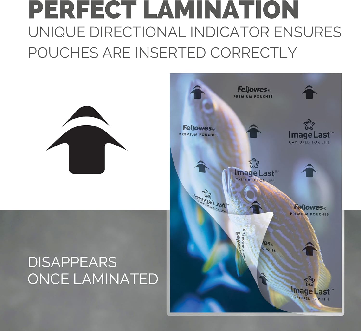 Fellowes A4 Laminating Pouches, Gloss Finish, 25 Sheets, 250 Micron (2 x 125 Micron) High Quality Finish with Image Last Directional Quality Mark - Ideal for Photos, Notices and Everyday Use