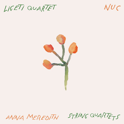 Nuc: Anna Meredith: String Quartets