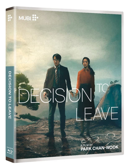 Decision to Leave