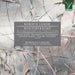 Roberto Laneri: Wintertr-Ume De-Compositions & Re-Compositions