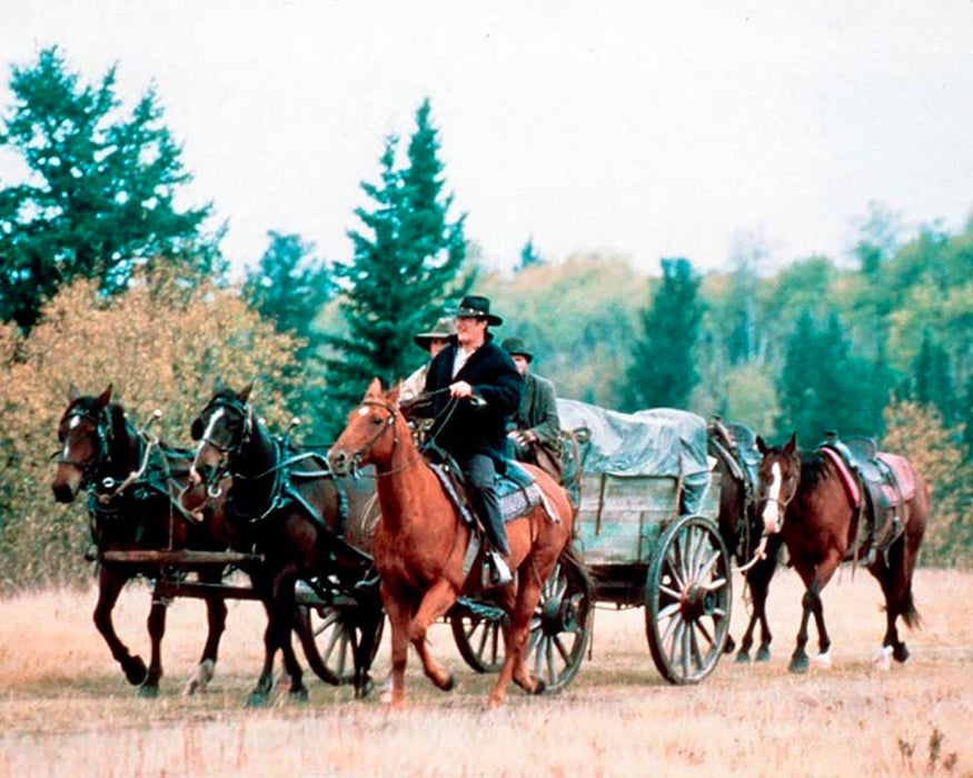 Abenteuer im Land der Grizzlys (Grizzly Falls) / Abenteuerfilm mit Starbesetzung (Pidax Film-Klassiker