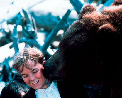 Abenteuer im Land der Grizzlys (Grizzly Falls) / Abenteuerfilm mit Starbesetzung (Pidax Film-Klassiker