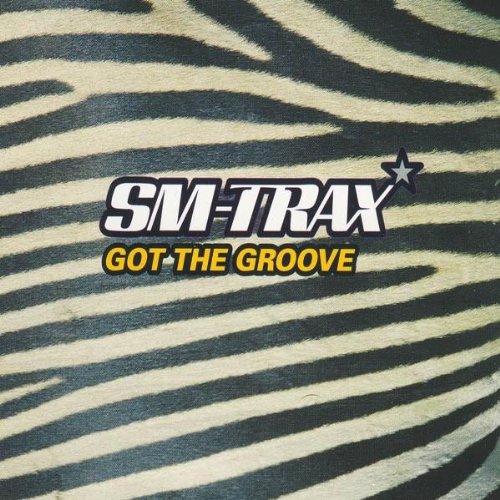 Got the Groove