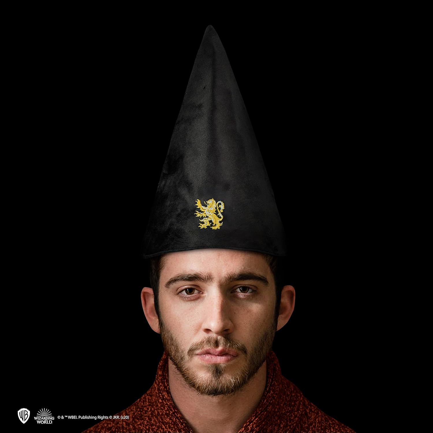Cinereplicas Harry Potter Hogwarts Student Hat - Official Licensed Multicoloured