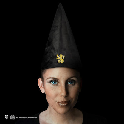 Cinereplicas Harry Potter Hogwarts Student Hat - Official Licensed Multicoloured