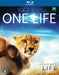 Life; the Movie