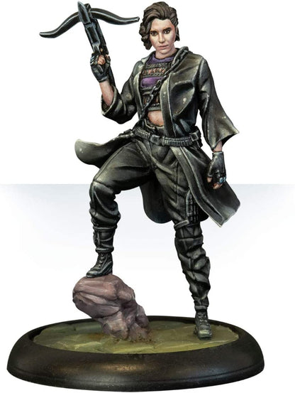 Knight Models Batman Miniature Game: Birds of Prey English