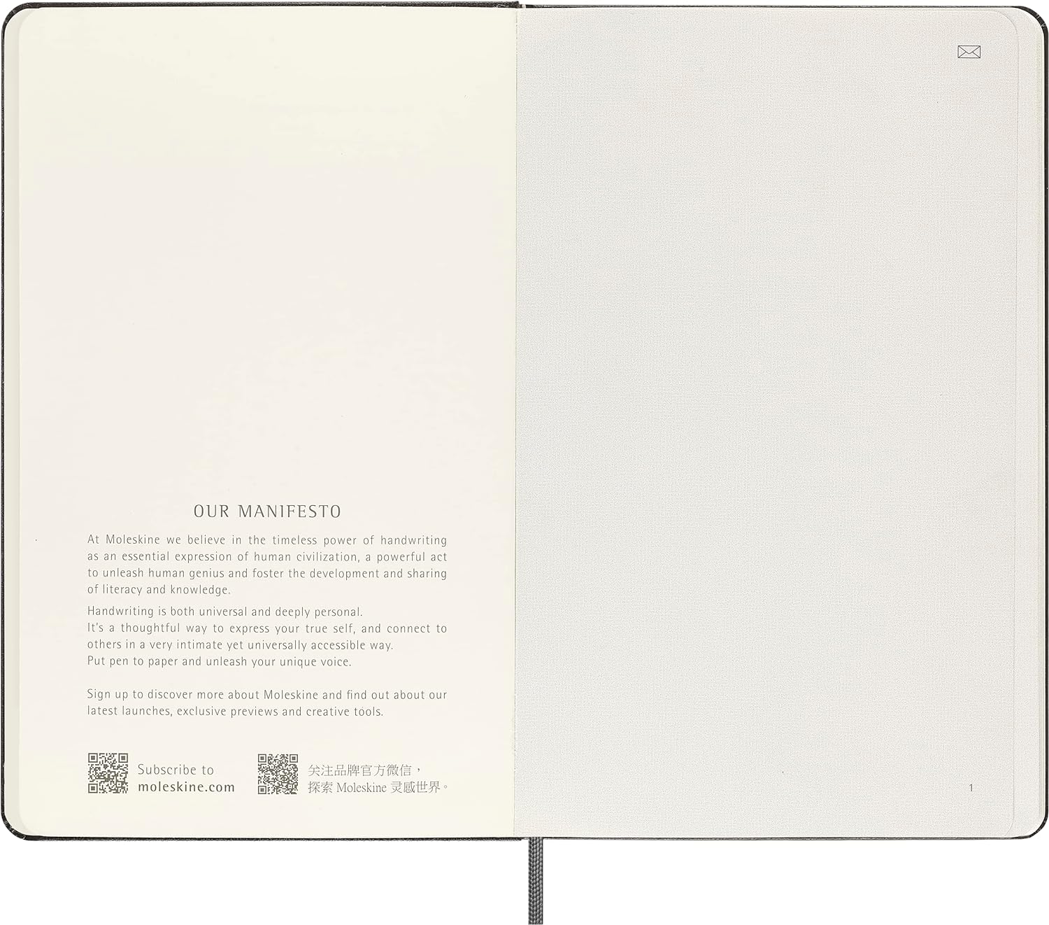 Moleskine Smart Notebook, Smart Writing System, Smart Notebook with Hard Cover, Blank Pages and Elastic Closure, Large Format 13 x 21, Colour