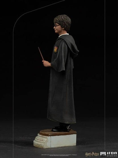 Iron Studios - Harry Potter - Harry Potter Art Scale 1/10 1:10 Multicolour