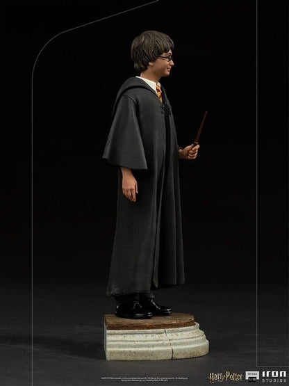 Iron Studios - Harry Potter - Harry Potter Art Scale 1/10 1:10 Multicolour