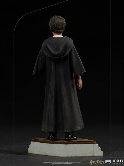 Iron Studios - Harry Potter - Harry Potter Art Scale 1/10 1:10 Multicolour