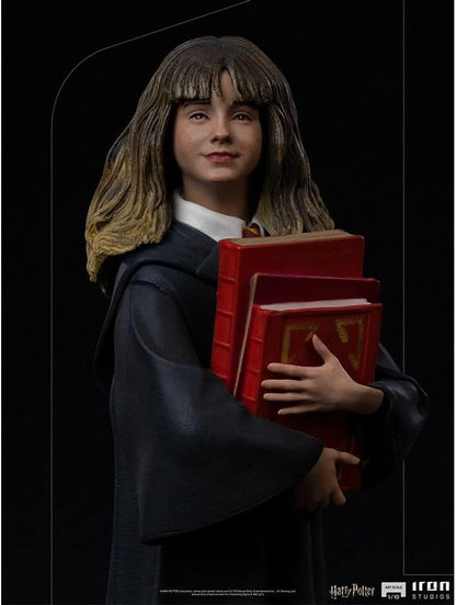 Iron Studios Harry Potter Statue Art Scale 1/10 1:10 Multicolour