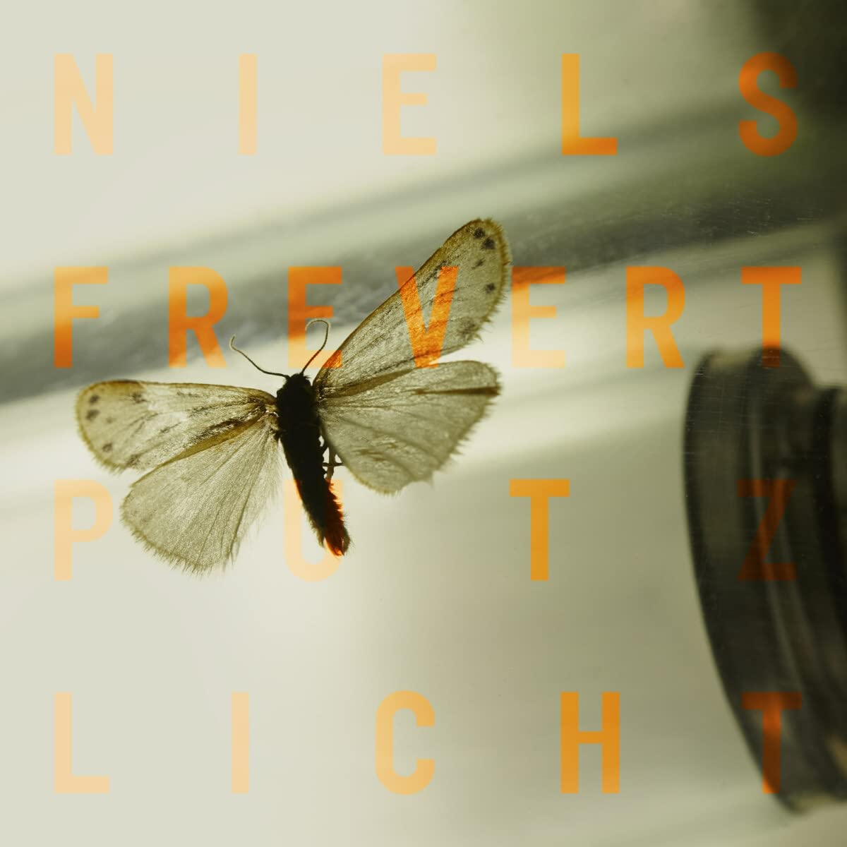 PUTZLICHT (SCHWARZES 180G VINYL)