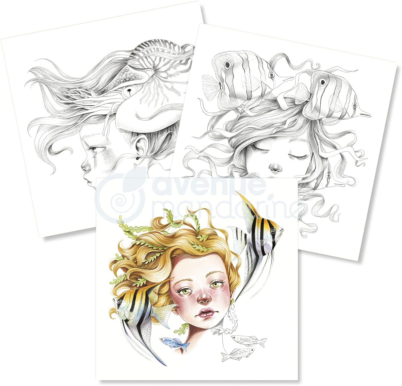 Avenu Mandarine - Emmanuelle Colin - Colouring book Wild 6