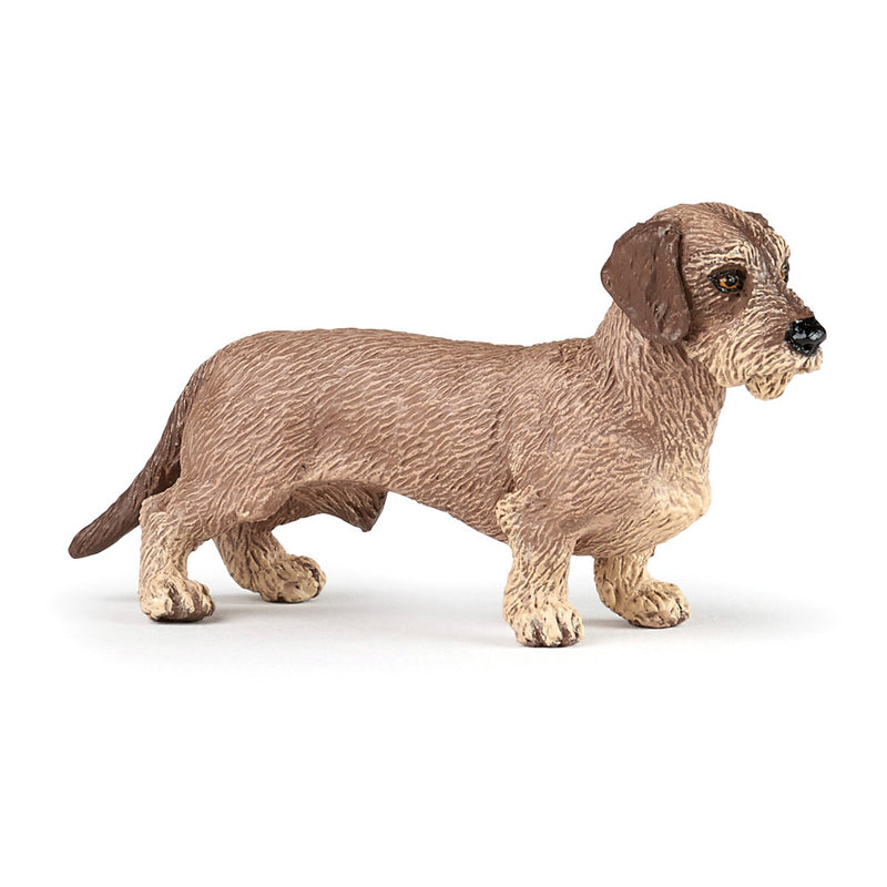PAPO Dog and Cat Companions Dachshund Toy Figure, Brown (54043)