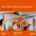 Dani Felber Big Band Explosion