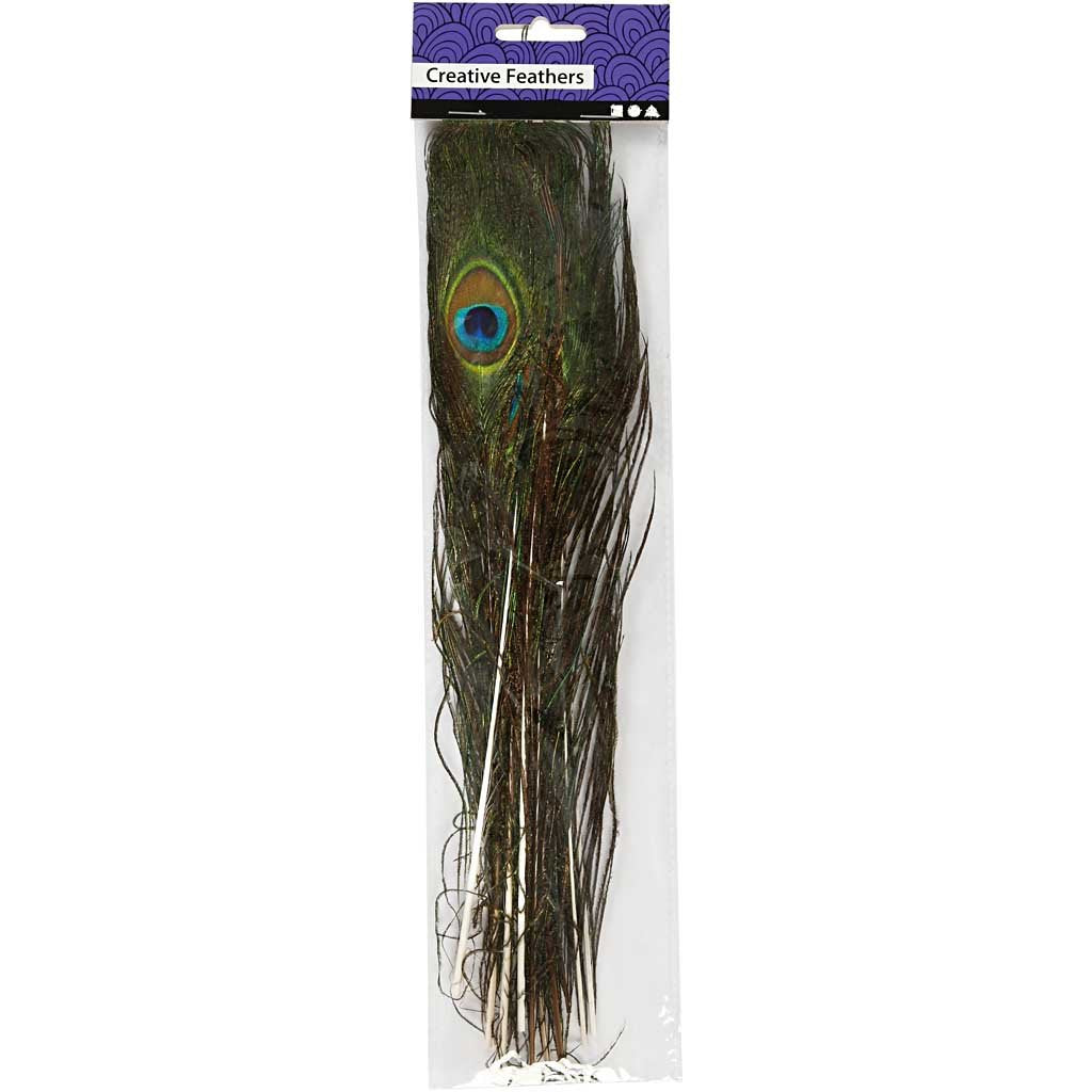 Peacock feathers, L: 25-30 cm, 10 pcs