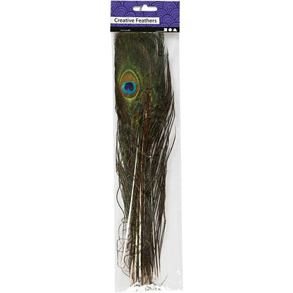 Peacock feathers, L: 25-30 cm, 10 pcs