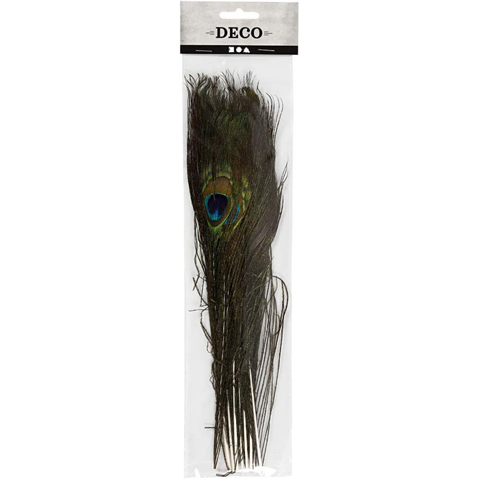 Peacock feathers, L: 25-30 cm, 10 pcs