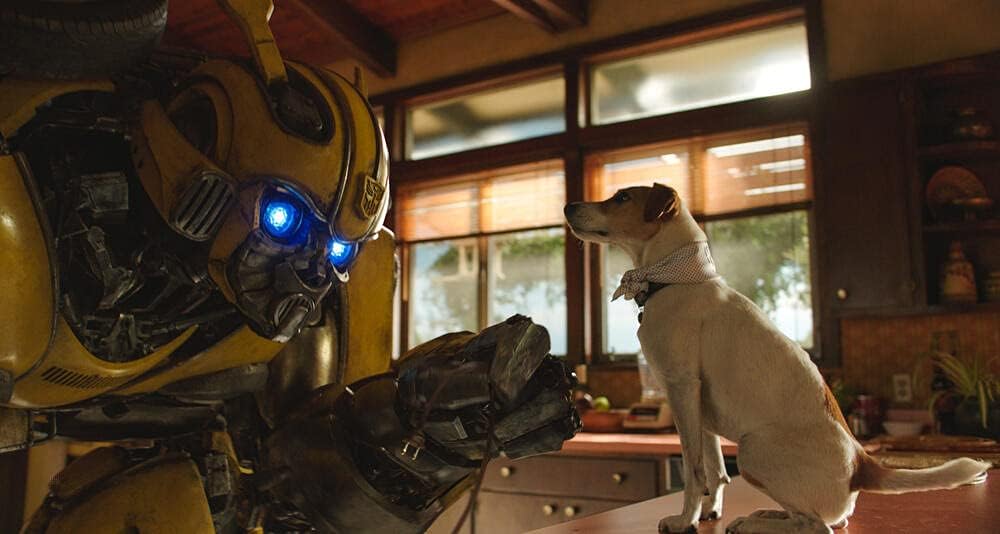 Coffret intégrale transformers / bumblebee 6 films