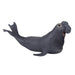 MOJO Sea Elephant Realistic International Wildlife Hand Painted Toy Figurine