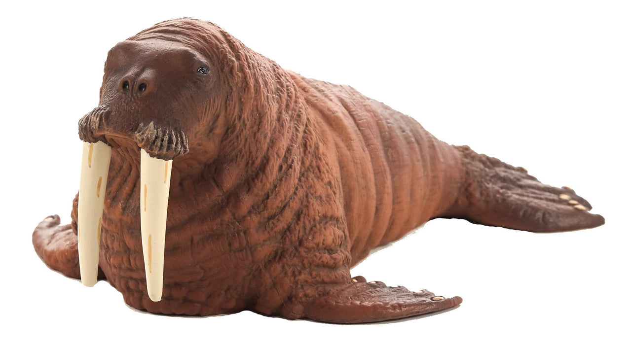 MOJO Walrus Realistic International Wildlife Hand Painted Toy Figurine (387209