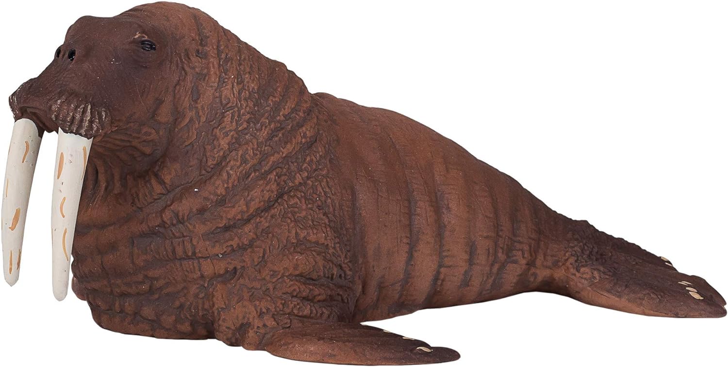 MOJO Walrus Realistic International Wildlife Hand Painted Toy Figurine (387209