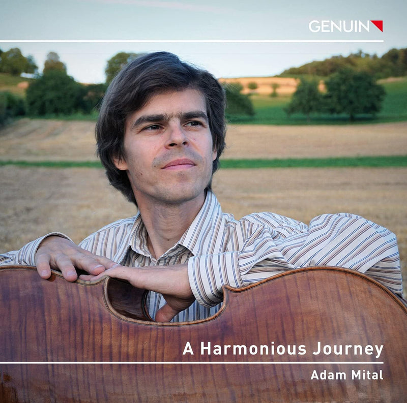 Adam Mital: A Harmonious Journey