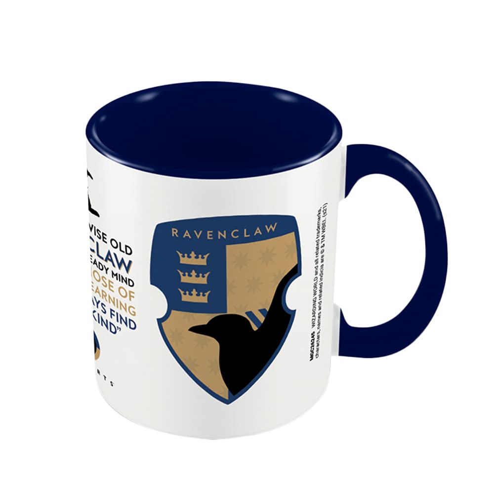 Harry Potter House Pride Ravenclaw Mug (One Size) (White/Navy/Brown