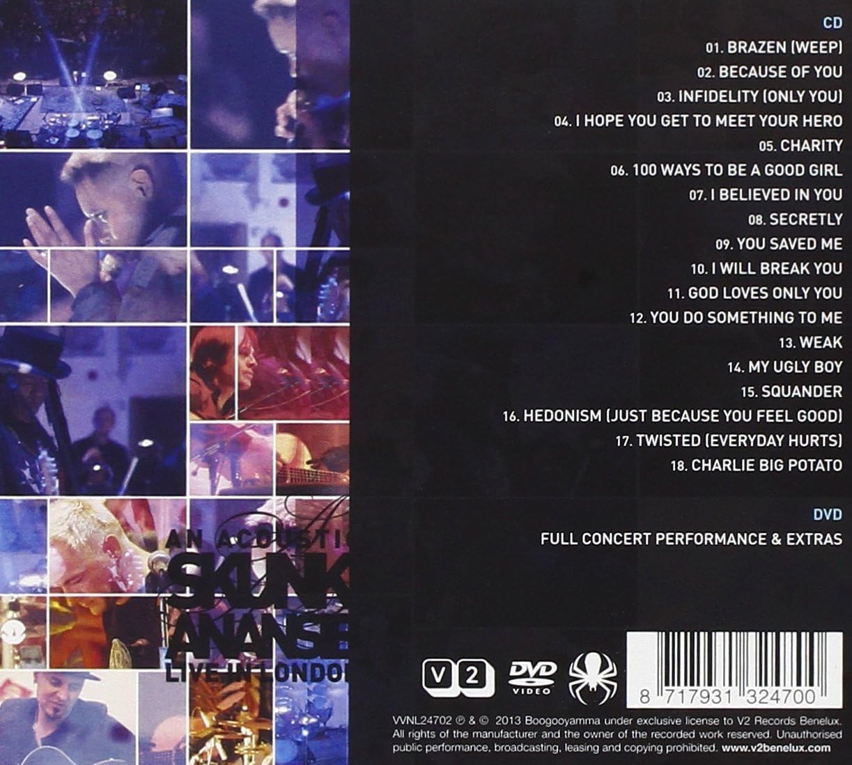 An Acoustic Skunk Anansie 1