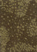 1322 Dry Forest Floor