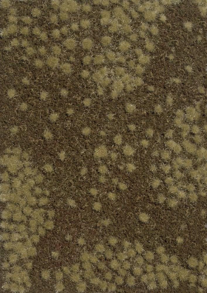 1322 Dry Forest Floor