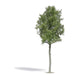 3797 Forest Lime 170 mm H0