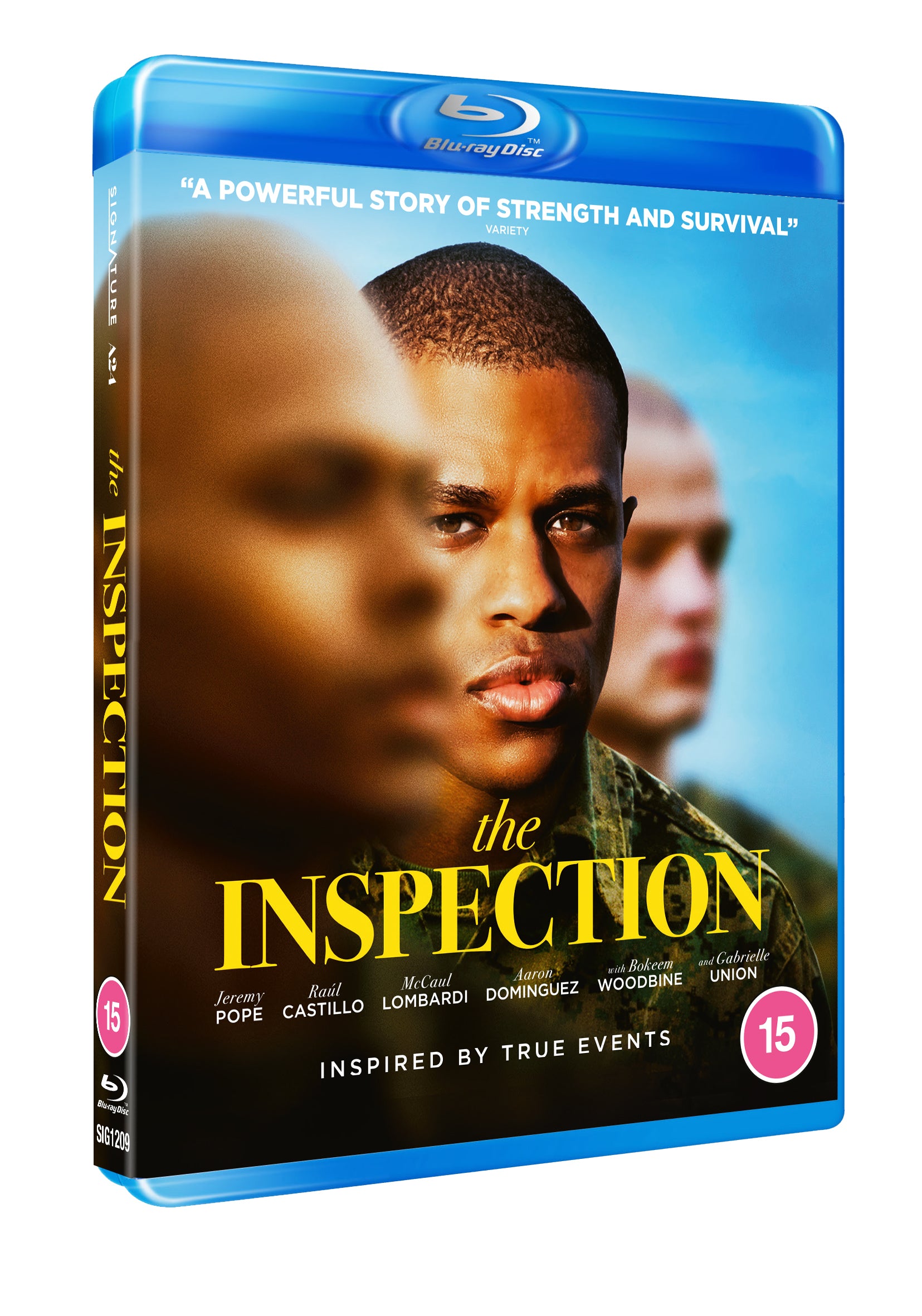 The Inspection