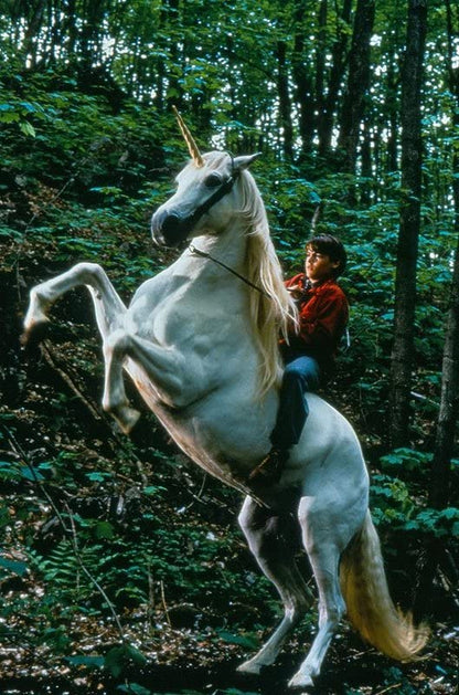 Nico, das Einhorn