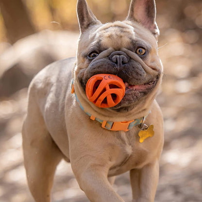 Chuckit! Breathe Right Fetch Ball4