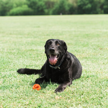 Chuckit - Breathe Right Fetch Ball Large  7,5Cm - (Chuc31933)