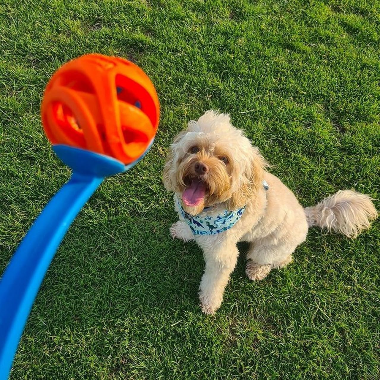 Chuckit! Dog Air Fetch Ball, Medium, 2 Pack Medium 2