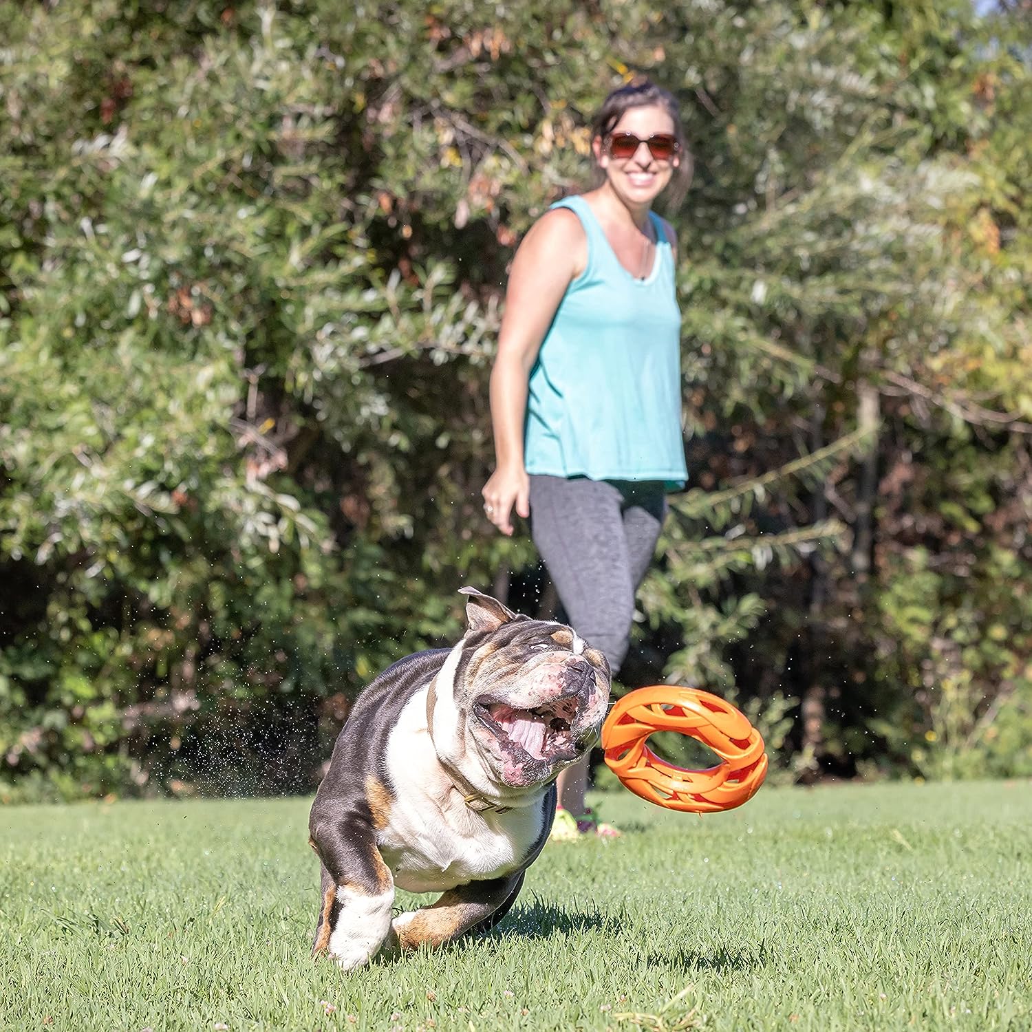 Chuckit! Air Fetch Wheel Doy Toy
