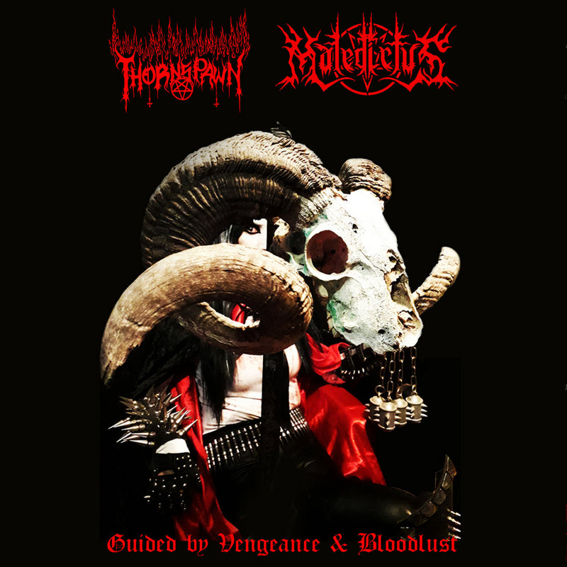 Guided By Vengeance & Bloodlust