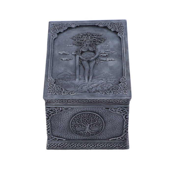 Nemesis Now Mother Earth Box, Grey, 15.5cm