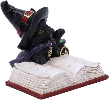 Nemesis Now Familiar's Brew Cat Figurine, Black, 8.5cm