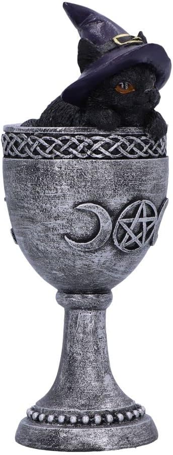 Nemesis Now Coven Cup, Silver, 15.7cm