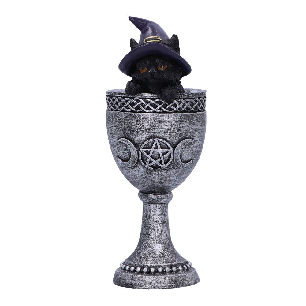 Nemesis Now Coven Cup, Silver, 15.7cm