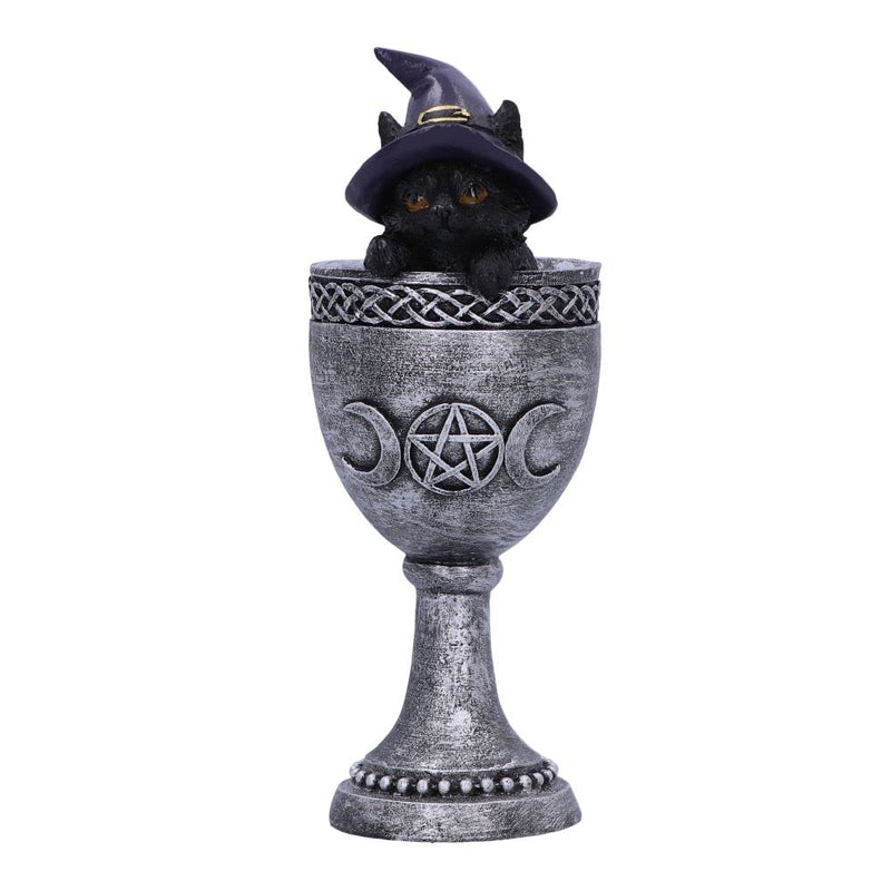 Nemesis Now Coven Cup, Silver, 15.7cm