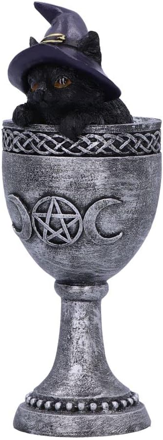 Nemesis Now Coven Cup, Silver, 15.7cm