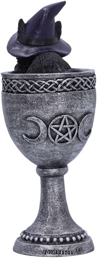 Nemesis Now Coven Cup, Silver, 15.7cm