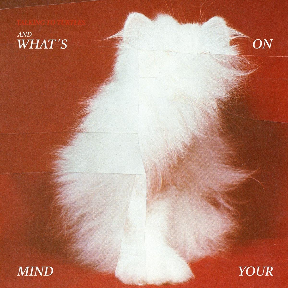 And What'S on Your Mind