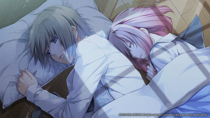 Norn9: Var Commons - Standard Edition (Nintendo Switch