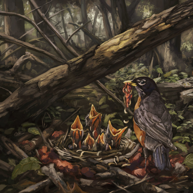 Step Into the Light